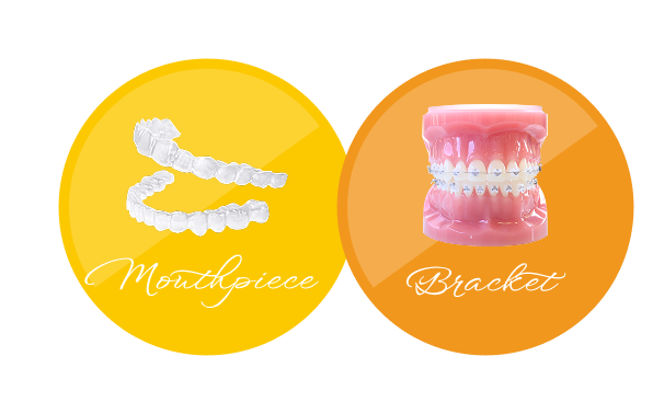 top_feature_contents_pointImage